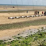 La Fossette