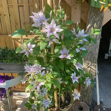 La Fossette Bed and Breakfast