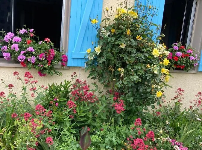 La Fossette Asnelles