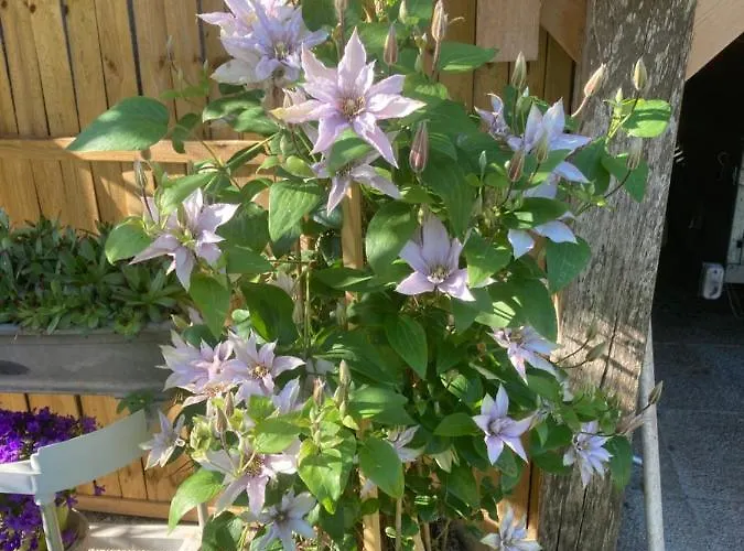 La Fossette Bed and Breakfast